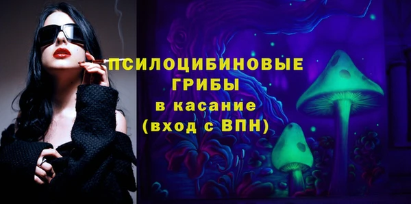 индика Киренск
