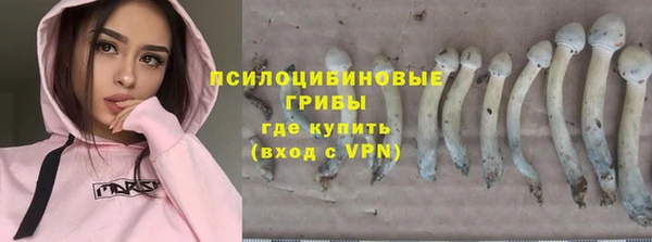 индика Киренск
