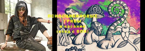 индика Киренск