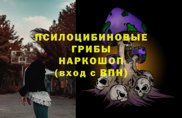 индика Киренск