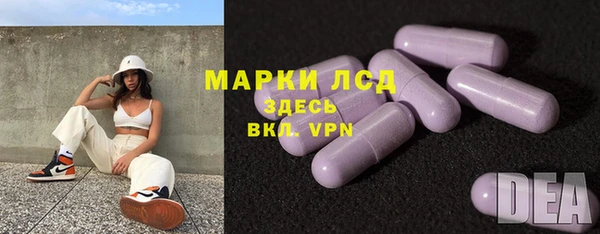 индика Киренск